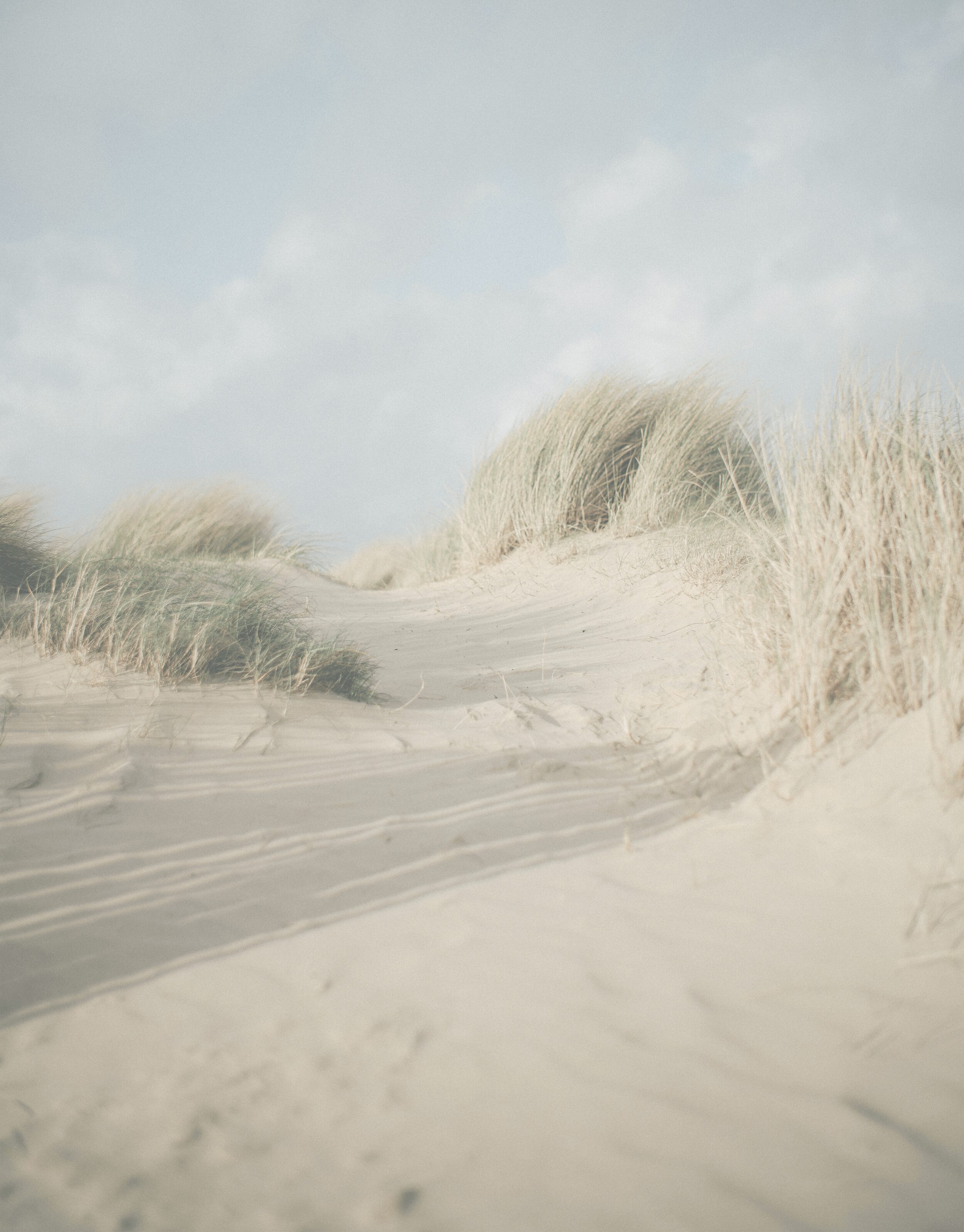 Peaceful sand dunes under soft sunlight